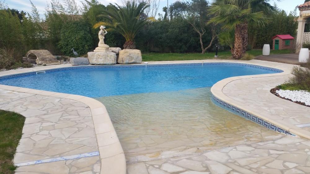 Piscine de forme libre avec dallage en pierre et palmiers