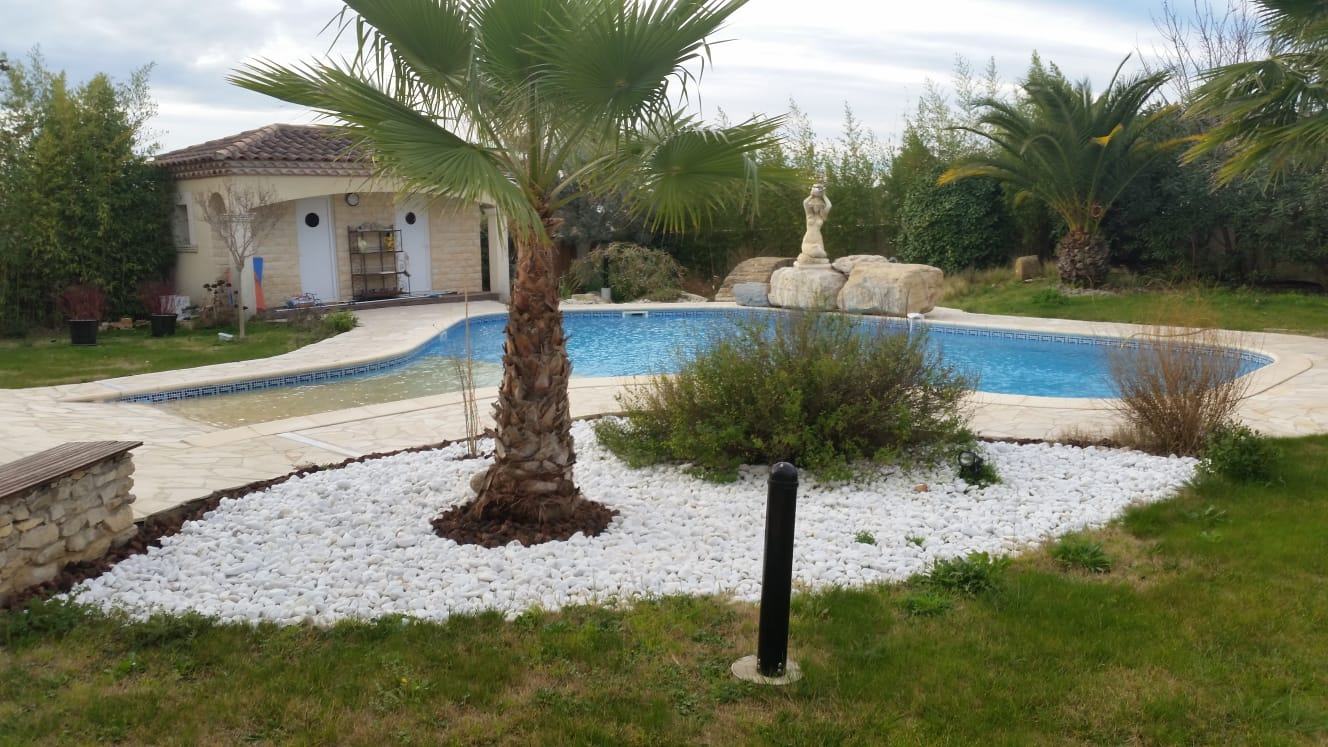Piscine de forme libre intégrée à un jardin méditerranéen avec palmiers